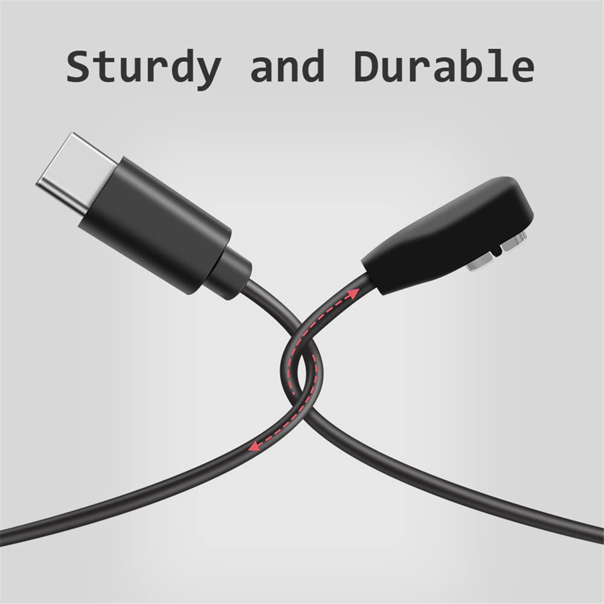 Newest  3.3Ft Charging Cable C - đánh giá và giá Skyrc B6 Neo Smart Charger