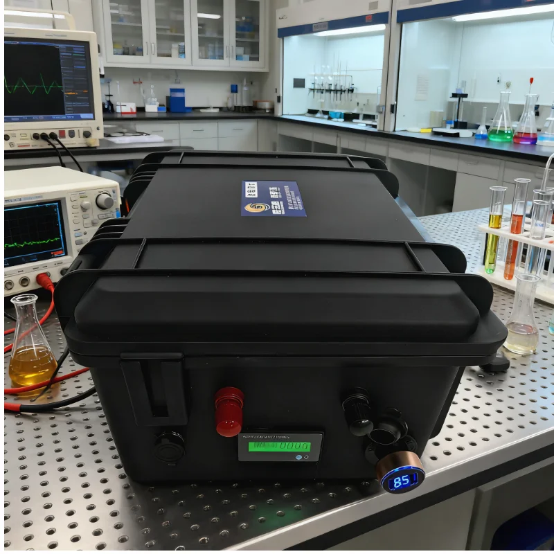 Lifepo4 Lithium Iron Phosphate - đánh giá và giá Lifepo4 12V 100Ah Bms Bluetooth